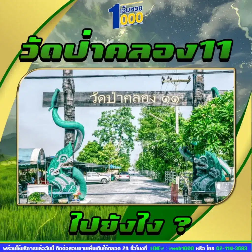 วัดป่าคลอง11